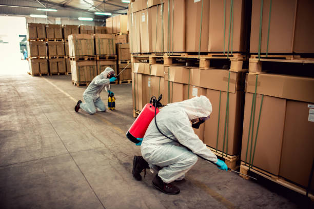 Best Termite Control Services  in Salado, TX