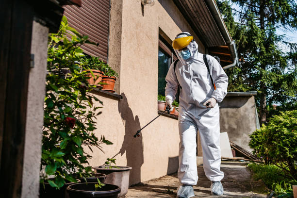Best Pest Removal Services  in Salado, TX