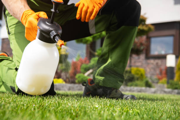 Reliable Salado, TX Pest Control Solutions