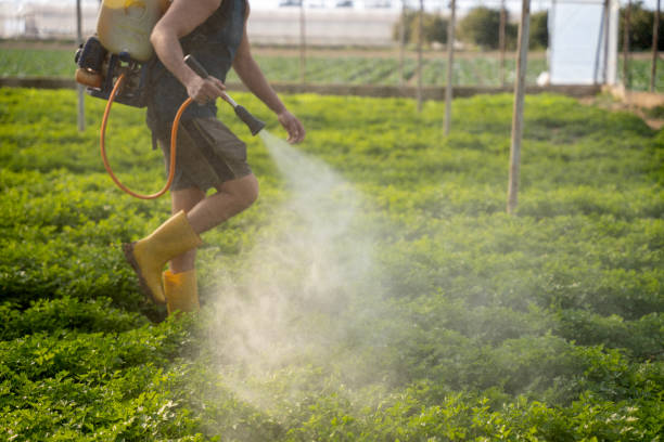 Best Mosquito Control Services  in Salado, TX