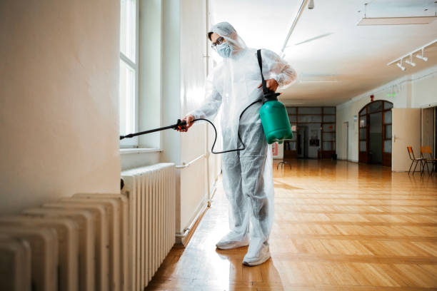 Wasp Removal Services in Salado, TX