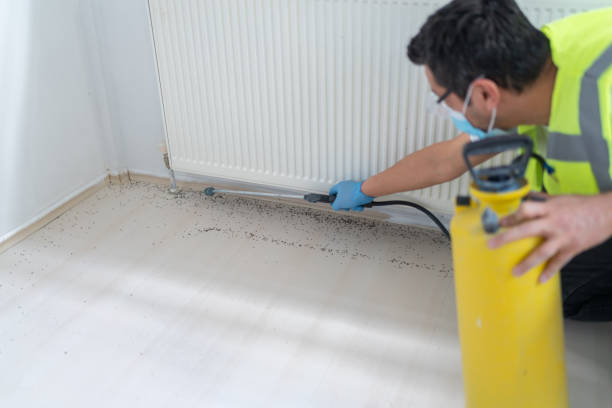 Trusted Salado, TX Pest Control Experts