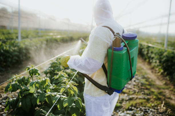 Best Flea Control Services  in Salado, TX